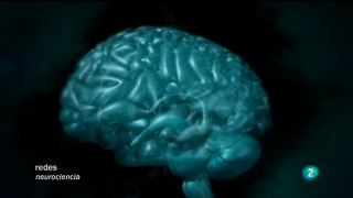 Ver v&iacute;deo  'Redes - Antes y despu&eacute;s de conocer el cerebro'