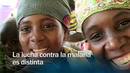 La lucha contra la malaria - avance