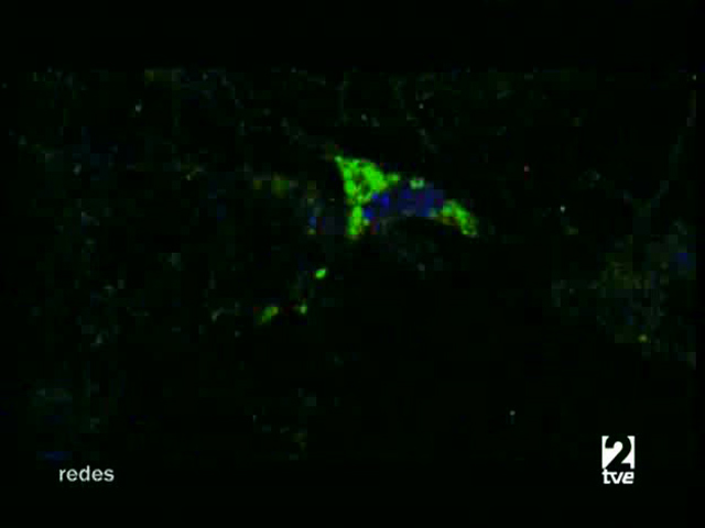 Ver v&iacute;deo  'Redes - Manipular el cerebro'