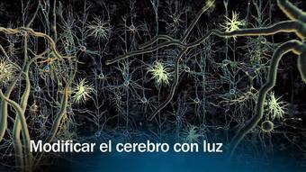 Ver v&iacute;deo  'Redes - Modificar el cerebro con luz - presentaci&oacute;n'