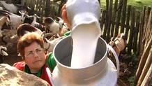 Covadonga no ha conocido nunca un d&iacute;a de vacaciones