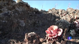 Ver v&iacute;deo  'Repor - El Hierro, esperando el volc&aacute;n'