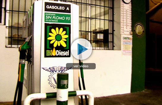 &iquest;Repostar en verde?