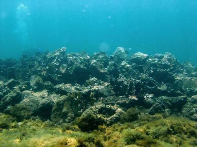 Hallan en el Caribe lo que podrían ser los restos de la carabela Santa María de Cristóbal Colón 1399969278776