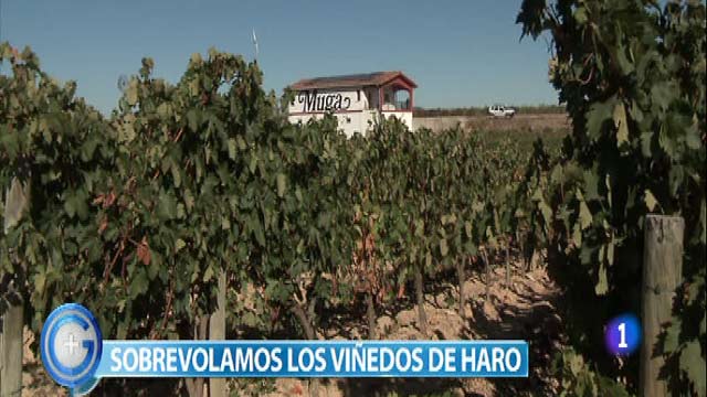 M&aacute;s Gente - M&aacute;s Cocina - El reto del chorip&aacute;n