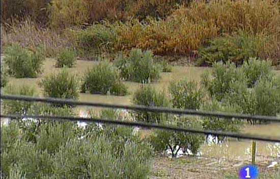 Las riadas en Ja&eacute;n han dejado a 25 mil personas sin agua