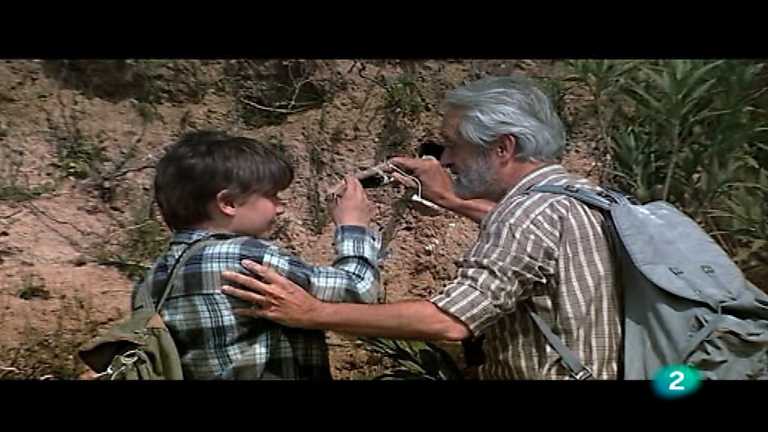 Ojos salvajes - La ribera animada