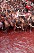 La popularidad de la Tomatina aument&oacute; enormemente gracias a un reportaje de Javier Basilio, emitido en Informe Semanal en 1983.