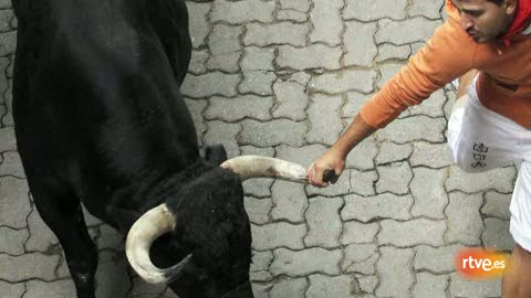 Ver v&iacute;deo  'RNE te narra el tercer encierro de San Ferm&iacute;n 2011 en im&aacute;genes'