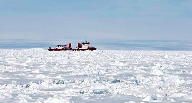 El rompehielos chino Xue Long es el buque del que ha partido el helicóptero de rescate llevará a los 52 pasajeros rescatados del barco ruso Akademik Shokalskiy, atrapado en el hielo.
