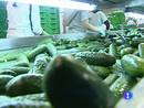 Ir al Video&nbsp;Rosa Aguilar ha presentado el proyecto de ley que regular&aacute; la cadena alimentaria
