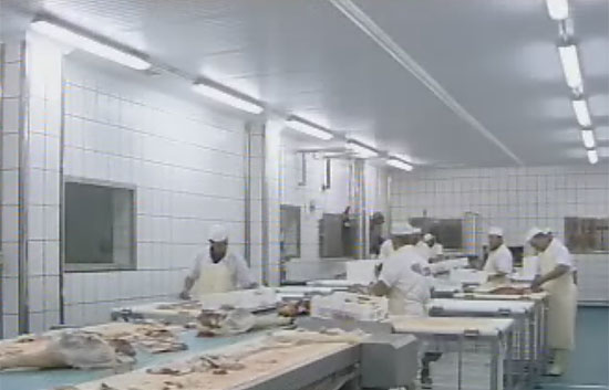Comienza a levantarse el veto ruso a las exportaciones espa&ntilde;olas de carne de cerdo