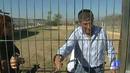 Ir al Video&nbsp;Sal&oacute;n de la Adopci&oacute;n de Animales de compa&ntilde;&iacute;a