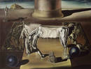 Salvador Dal&iacute;. 