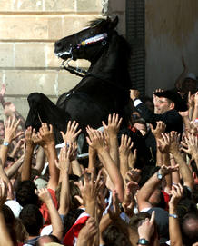 Los protagonistas de las fiestas de San Joan en Ciutadella (Menorca) son los caballos.