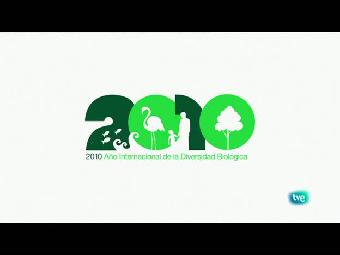 Biodiario - El sapo com&uacute;n