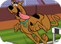 Imagen del  juego de &iquest;Qu&eacute; hay de nuevo Scooby Doo? titulado La carrera de obst&aacute;culos