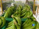 Ir al Video&nbsp;Se desbloquean las negociaciones con Mercosur