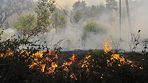 Ver v&iacute;deo  'Se elevan a cuatro las v&iacute;ctimas mortales en el incendio de Empord&agrave; que sigue activo'