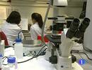 Ir al Video&nbsp;Se estudia regular los pr&eacute;stamos de microcr&eacute;ditos