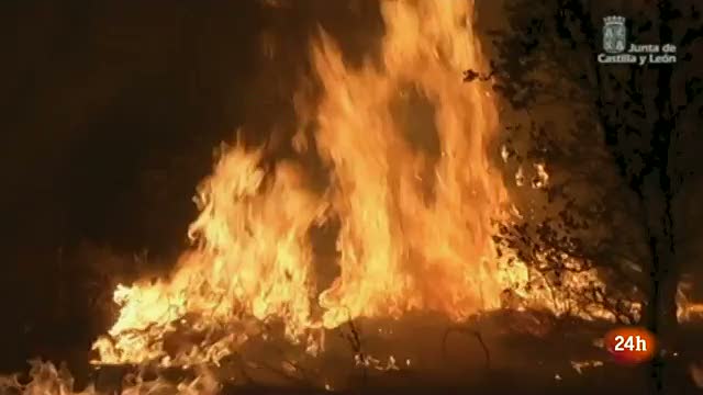 Ir al Video&nbsp;Se mantiene el nivel 2 en el incendio de Castrocontrigo (Le&oacute;n) ya que la acci&oacute;n del viento ha activado algunos focos