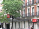 Sede del PSOE, en la calle Ferraz, donde se han colocado carteles socialistas que tienen poca visibilidad por la espesura de los &aacute;rboles