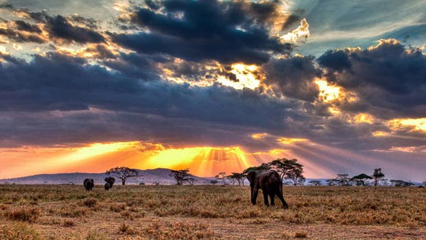 Parque Nacional del Serengeti