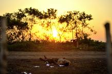 De la serie Tus pasos se perdieron con el paisaje © Fernando Brito