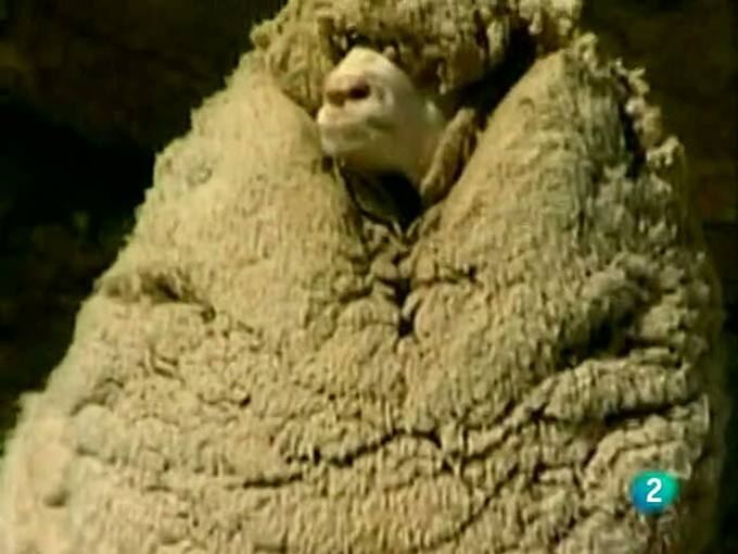 Ir al Video&nbsp;Shrek, la leyenda que se despide