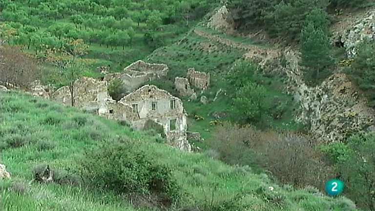 El bosque protector - Sierra de los Filabres: El bosque frontera