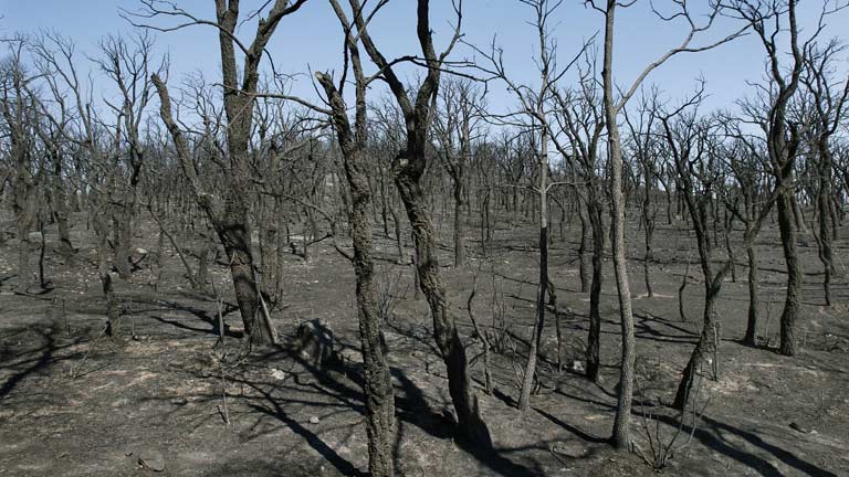 Los bomberos esperan controlar el fuego de Alt Empord&agrave; este jueves