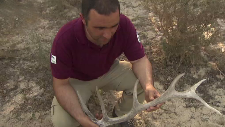Interpretando las huellas de los habitantes de Do&ntilde;ana