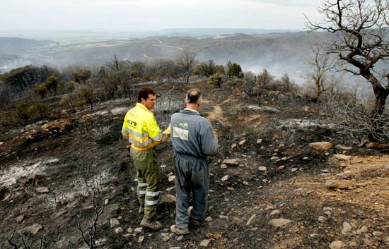El incendio de Sos del Rey Cat&oacute;lico est&aacute; sofocado