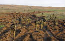 Israeli soldiers advance in northern Gaza Strip