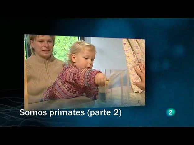 Redes - Somos primates - Segunda parte