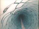 Ir al Video&nbsp;Sorpresa a 200 metros bajo el hielo