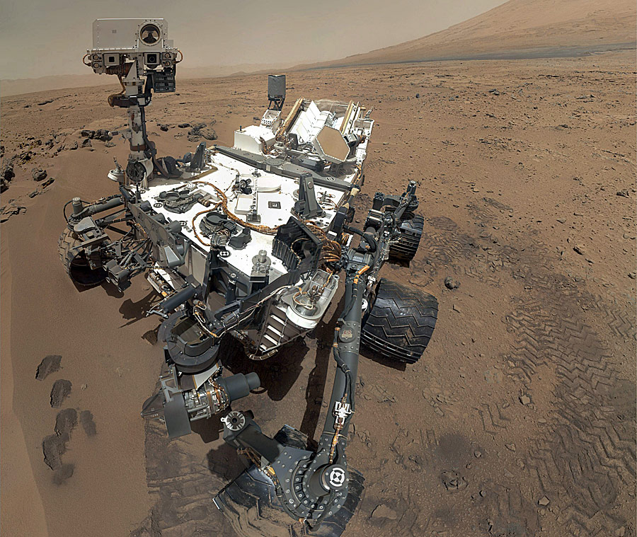 <strong>Autorretrato de Curiosity </strong>