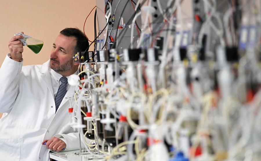 <strong>Biofuel de microalgas</strong>