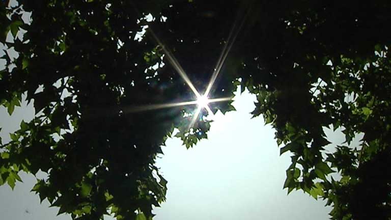 Aumento de temperaturas en el norte
