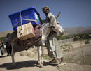 A man holds his donkey carrying election supplies before they departed to a rural polling station in Afghanistans mountainous Panjshir Province