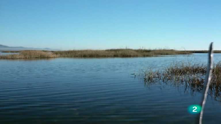 El hombre y la Tierra (Fauna ib&eacute;rica) - Las tablas de Daimiel, 1