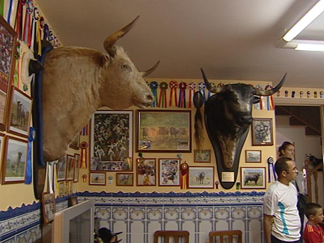 Reporteros del telediario - Taxidermistas en Sanfermines