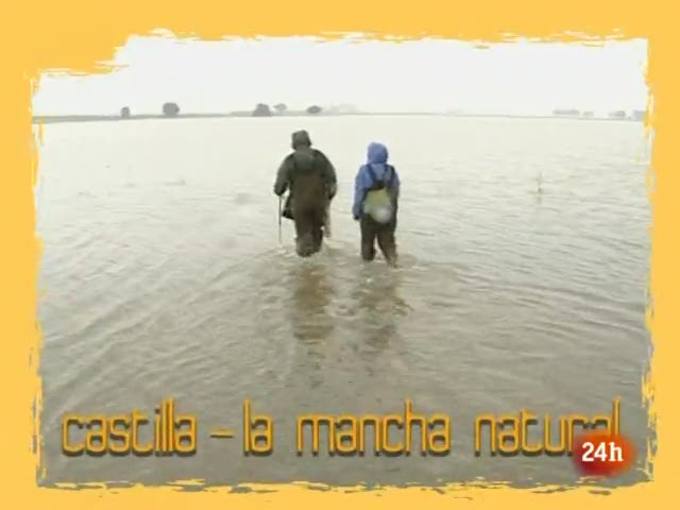 Natural - Tecnonaturalistas 