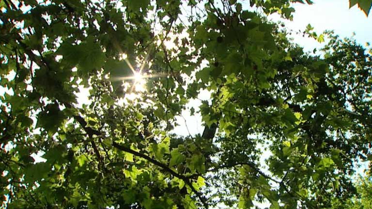 Tormentas en Pirineos y sistema ib&eacute;rico y temperaturas sin cambios