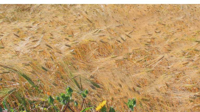Las temperaturas subir&aacute;n ligeramente en el norte y bajar&aacute;n en el sur