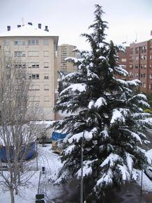 Temporal de nieve
