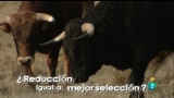 Tendido cero - 04/02/12