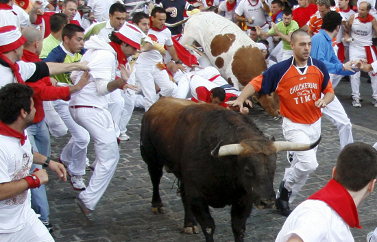 Rap&iacute;disimo encierro de los toros de El Ventorrillo