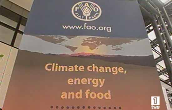 Termina la cumbre de la FAO