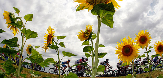 La pr&aacute;ctica del ciclismo afecta a la calidad del esperma seg&uacute;n un estudio de la Universidad de C&oacute;rdoba